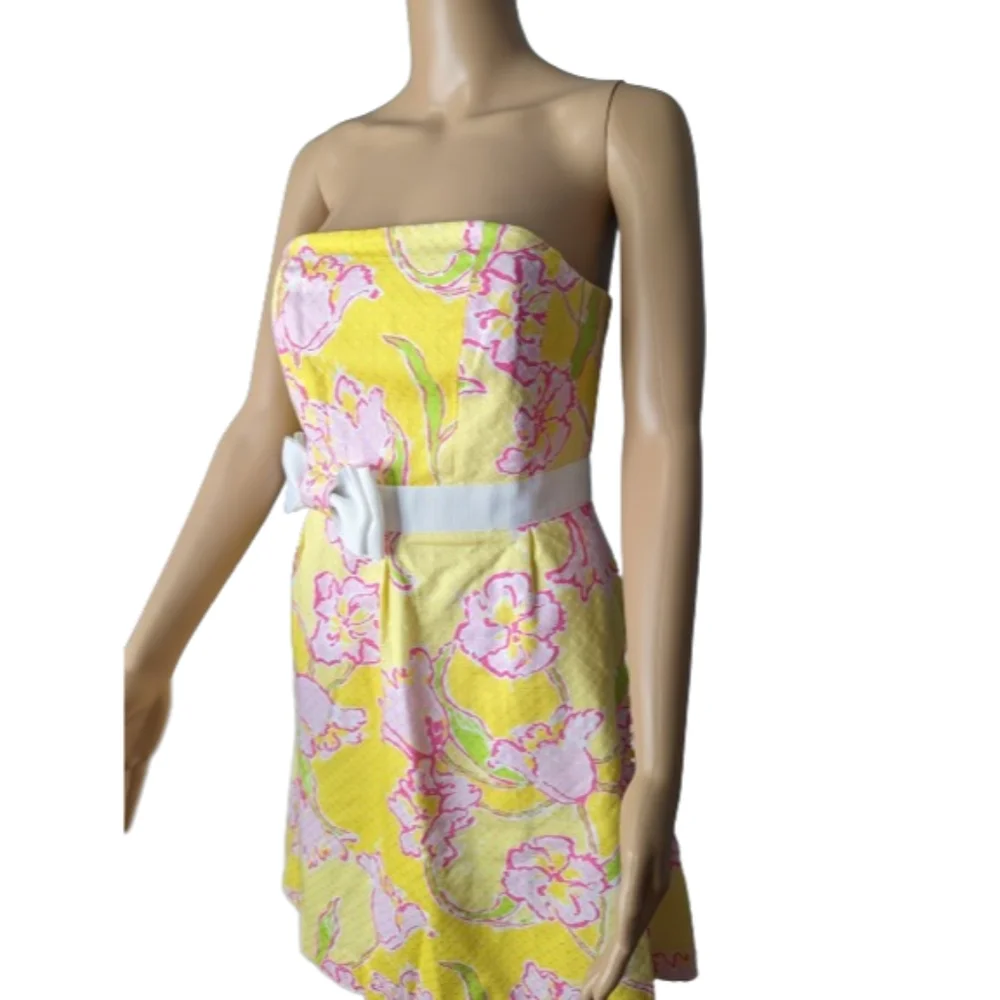 Lilly Pulitzer Amberly Dress 4 - Picture 6 of 12